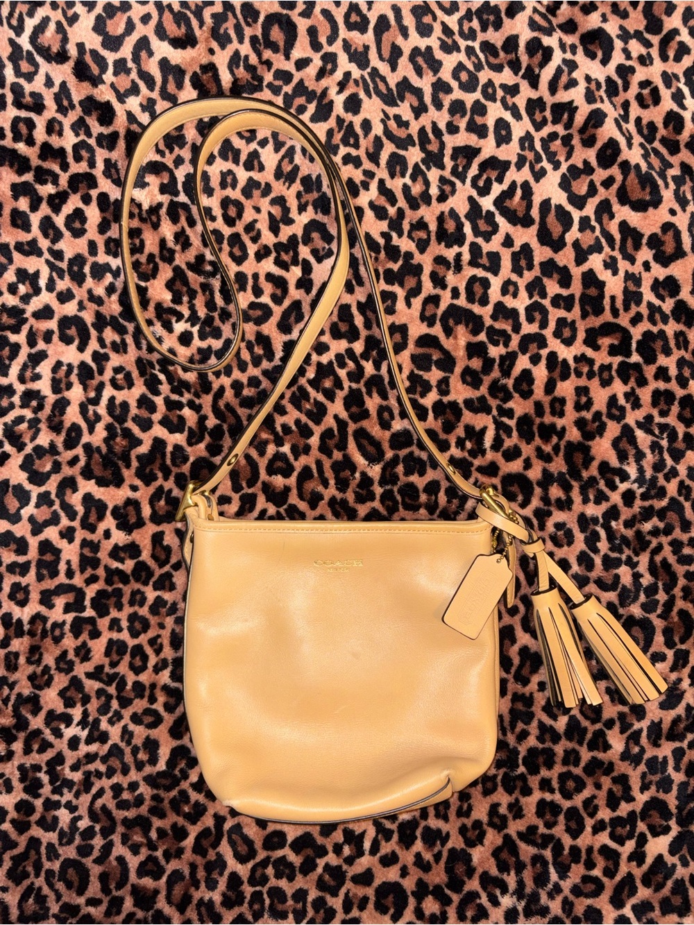 Coach Leather Crossbody Bag in Tan